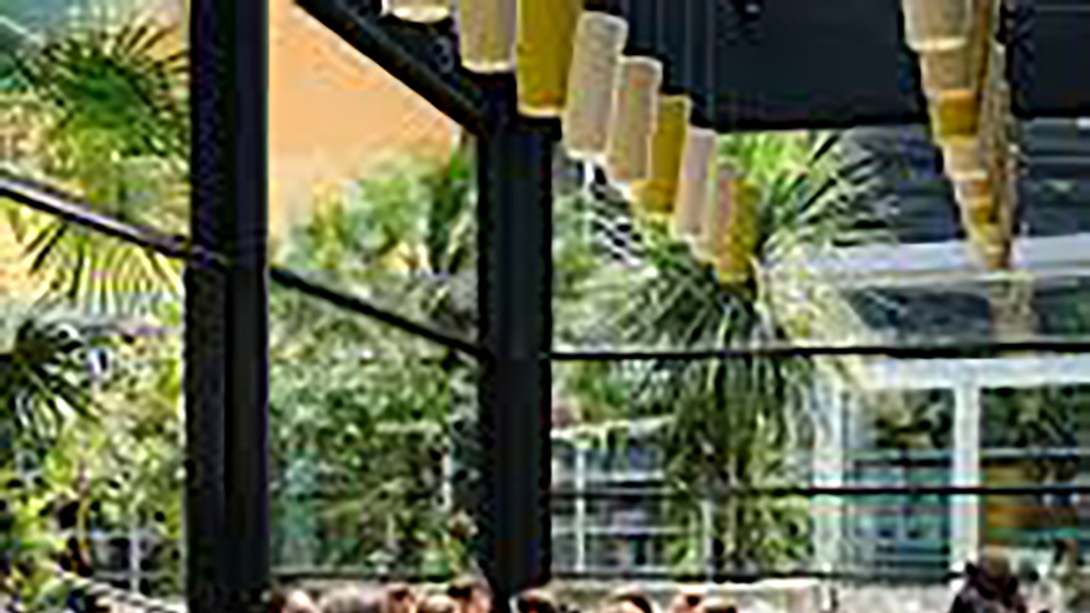 Extension du restaurant Fratellini So Ouest - image 3